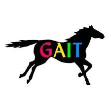 GAIT Equine Assisted Services